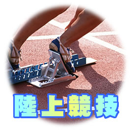 ㋣Z