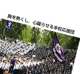 MCS点{Zc