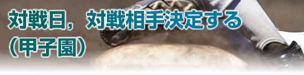 ΐCΐ푊茈肷ibqj