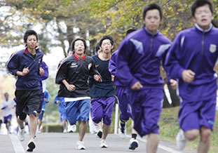 紅葉した林間を