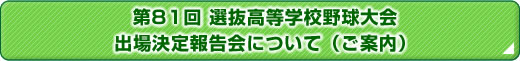 81 IwZ싅oꌈ񍐉ɂāiēj