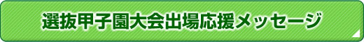 IbqoꉞbZ[W