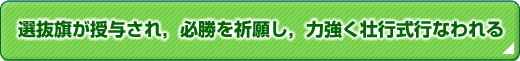 I^CKF肵C͋sssȂ