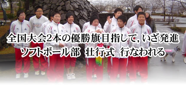 SQ{̗DڎwāCi \tg{[@ss@sȂ