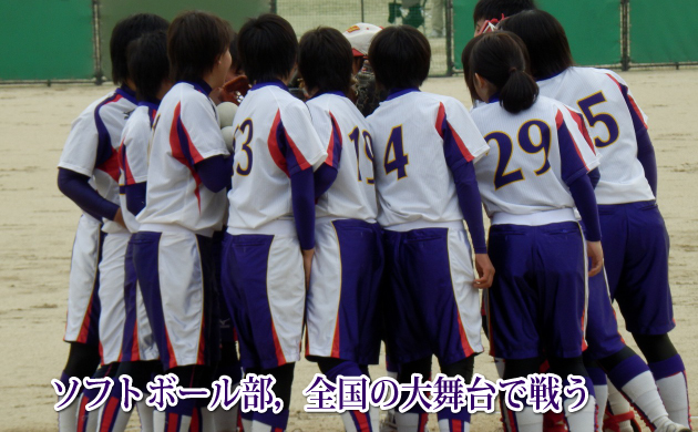 \tg{[CS̑啑Ő키