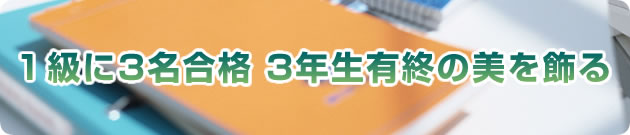 P3i 3NLI̔
