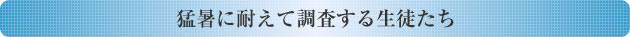 ҏɑςĒ鐶k
