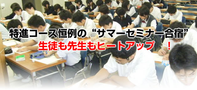 iR[XṔgT}[Z~i[hhk搶q[gAbvI