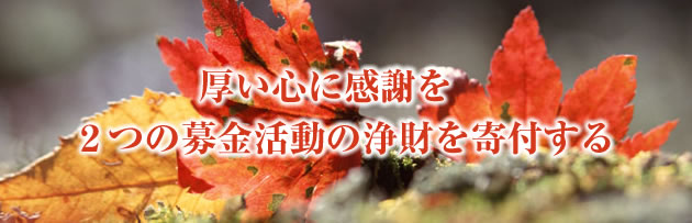 SɊӂQ̏̕t