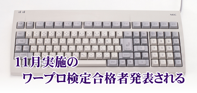 11{̃[v荇iҔ\